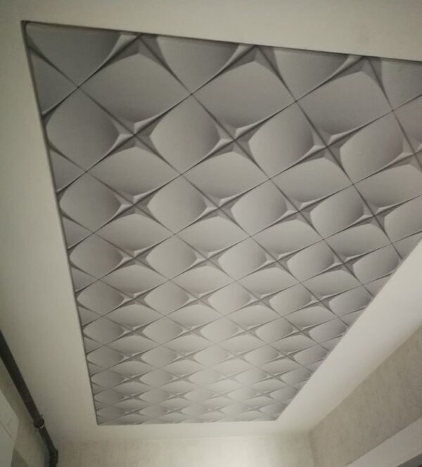 Ceiling - 24